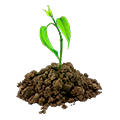 Agro y medio ambiente